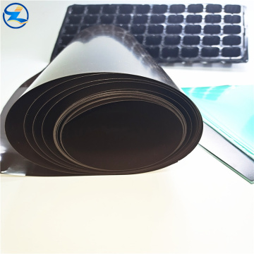 Food Grade pp rigid rolls for Packaging