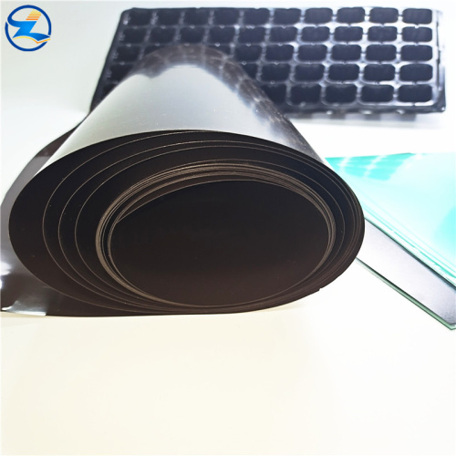 White glossy pp rigid Plastic films sheets