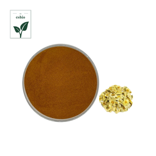 High Quality Chrysanthemum Extract