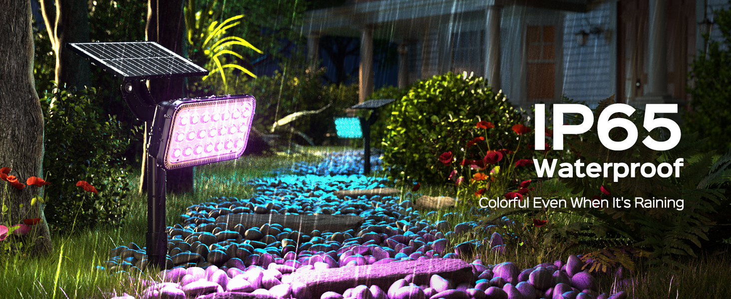 00e2aa60-6fe4-4d24-a498-e4b6ecb76cc8.__CR0,0,