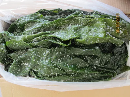 Seaweed Food Salted Kelp Wthout Head