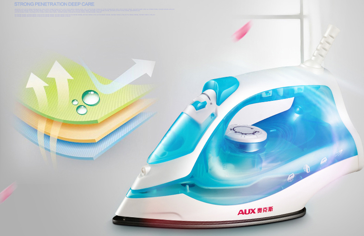 Electric steam iron