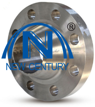 BS10 WN Table D/E Flange