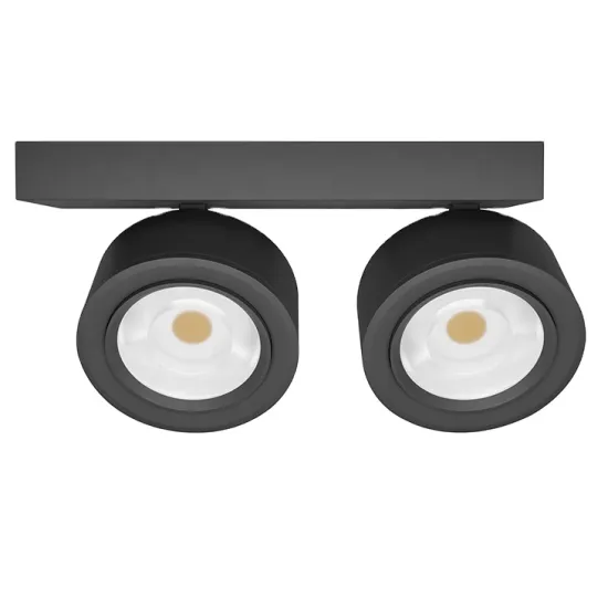 RONSE Ceiling Surface-Mounted LED Down Light - 2 Heads Spotlight, 20W, Adjustable Beam, 3 Inch Ceiling Downlight