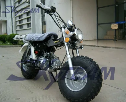 SKYTEAM 125cc E5 4 Stroke T-REX RV90 Beach Motorcycle (EEC Euro5 Euro4 Approved)