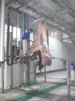 Hala Complete Cow & Buffalo Slaughter Machine Line