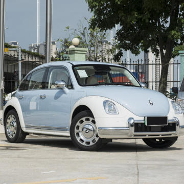 2023 Hot Selling New Energy Vehicles: Great Wall ORA Ballet Cat - 500KM Cheap Cars for Adults