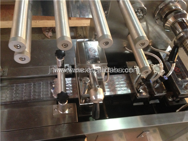 DPP-80 Automatic Alu/Alu Liquid Blister Packing Machine