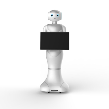 Intelligent Autonomous Robot for Welcome Services in Banks, Airports, and Hospitality