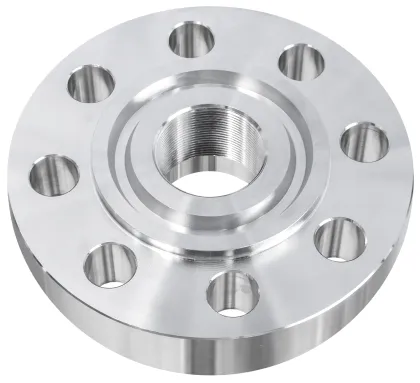 stainless steel special flange