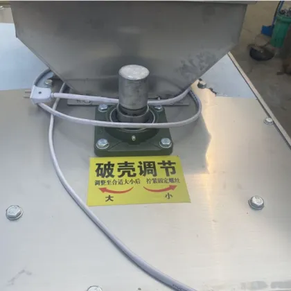 Best Selling Walnut & Red Date Processing Machine: Shell & Peel Walnut and Pecans Efficiently