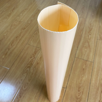 Protectores de árbol de plástico corrugado de PP de alta calidad