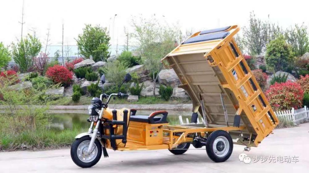 حار بيع trike لدراجة ثلاثية العجلات الكهربائية البضائع