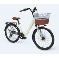 Lady Tern Electric Cargo Fahrrad