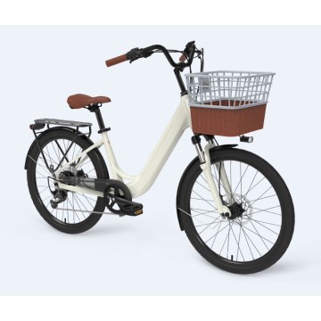 Lady Tern Electric Cargo Bike