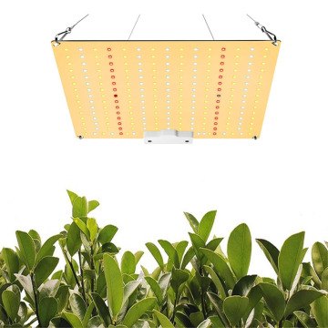 65W Full Spectrum LED Grow Light Board - Samsung LM281B for Plant and Flower Growth