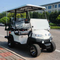 4-seater golf patrol car