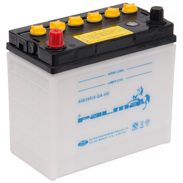 Dry Charge Car Battery (46B24R)