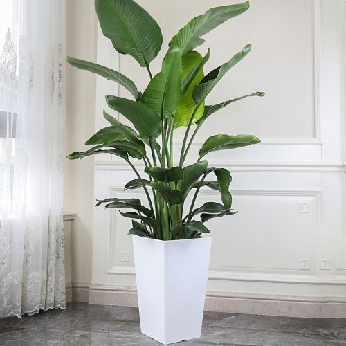 Medium White Square Cement Flower Pot Inside Home