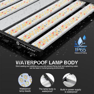 렌즈 1500W LED 조명을 추가하십시오