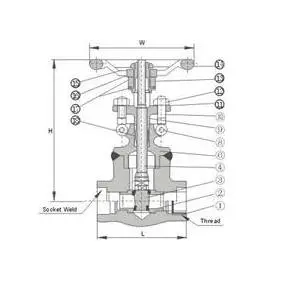 Forged Steel Gate Valve Class 800