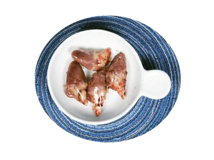 Premium Pet Food for Natural Health