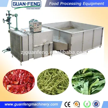 Vegetables and fruits drying line equipment leek dehydration line