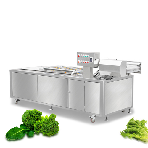 Veg Washing Machine Conveyor Belt Fruit and Vegetable Cleaner Machine Factory