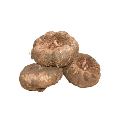 High Content Monomer Natural konjac glucomannan extract Glucomannan 90% Supplier