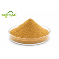 Pure Garlic Extract Powder Enhancing Immune Vitality