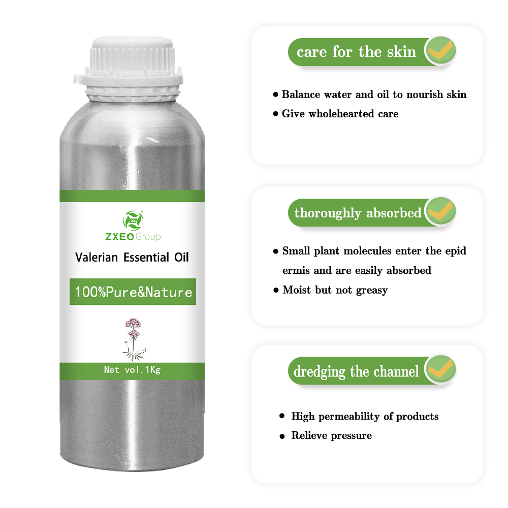 Aceite esencial de valeriano 100% puro y natural Aceite esencial al por mayor de alta calidad Bluk para compradores globales El mejor precio