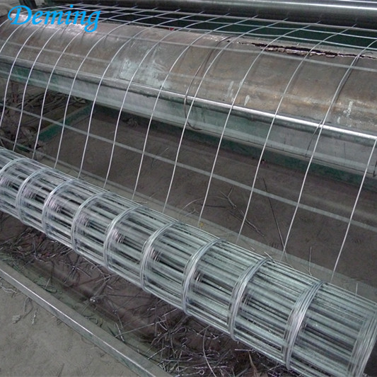 Hot Dipped Galvanized Cheap Welded Wire Mesh Rolls