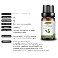 10ml OEM Petitgrain Essential Oil untuk Kulit Pijat