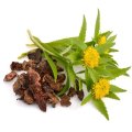 Dritte verfügbar Rhodiola Crenulata Extract Salidrosid