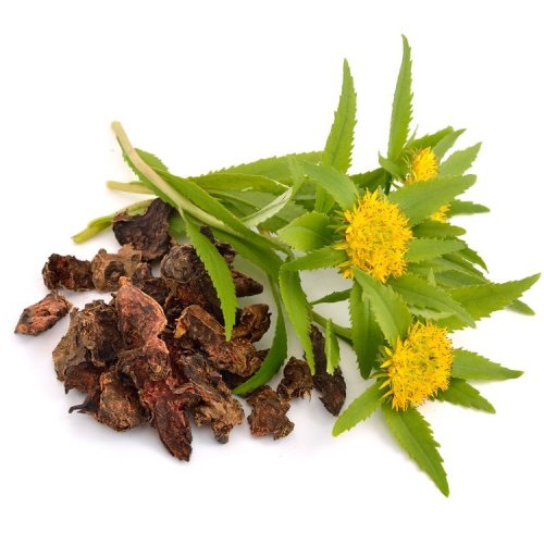 Third Party Available Rhodiola Crenulata Extract Salidroside