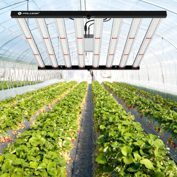 Phlizon Foldable Grow Light 640W