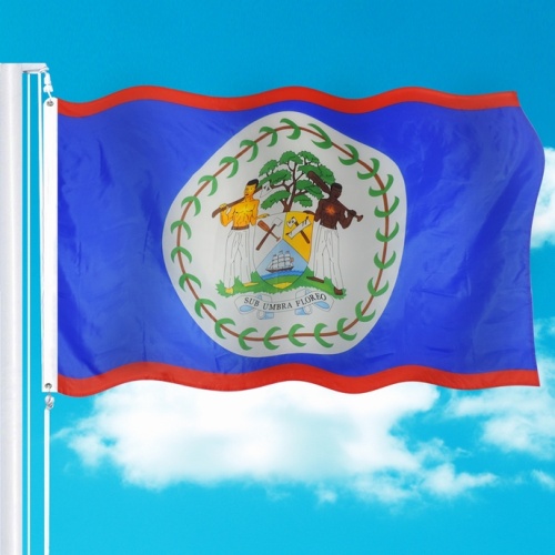 polyester printed 3x5 foot Belize national flag