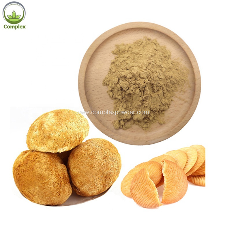 Top selling lion's mane mushroom powder bulk