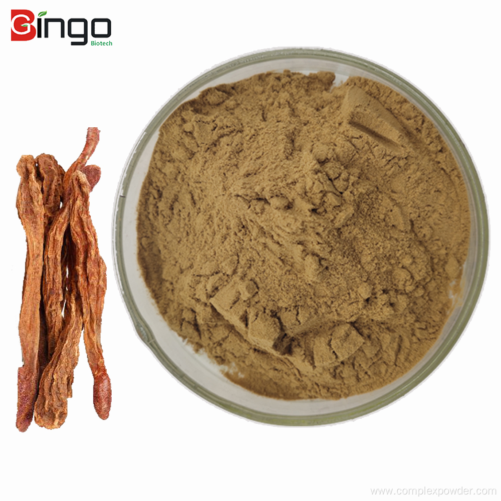 Male health products cynomorium songaricum herb extract