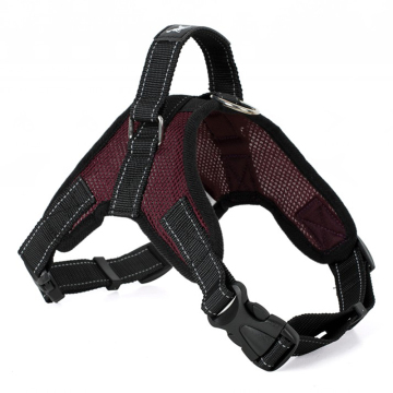 Supersteeds XL NEOPRENNE CHIEN HARNIS: Ensemble de laisse de col rembourré à maillage haute résistance