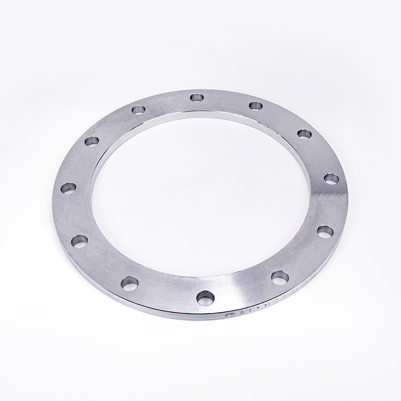 Stainless steel non-standard flange