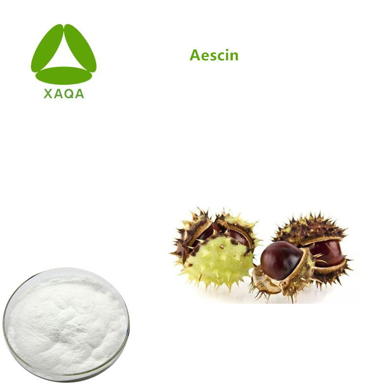 Extratos de ervas Cavalo Chestnut Extract Aescin 98% em pó