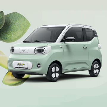 Search Mini Wuling Electric Car
