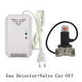 1 PCS 220VAC Combustible Gas Alarm Include Valve Cut Off Gas Leaking Coal Natural LPG Gas leak detector DN15 Kitchen Safe Device
