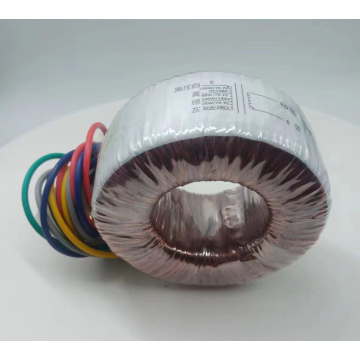 GuangDong OEM Toroidal core Transformer