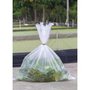 Large Size Plastic Bag