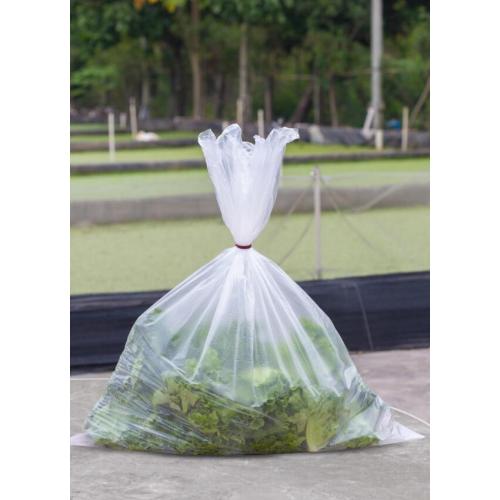 Large Size Plastic Bag