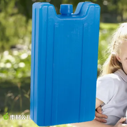 Factory Wholesaler: Plastic Reusable Ice Pack Cubes for Food & Fruits in Cold Chain