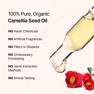 Óleo de semente de Camellia 100% puro orgânico pressionado a frio ilosidade de rosahihihy amêndoa jojoba azeitona para massagem cosmética de cuidados com a pele