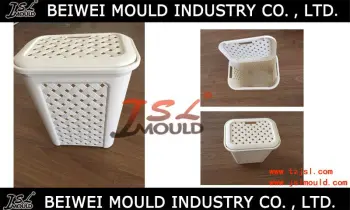 Custom Plastic Basket Mould
